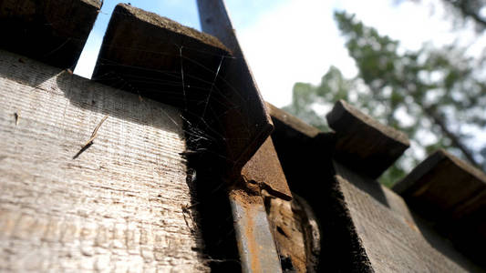 在废弃的屋子里的老蜘蛛网.蜘蛛在屋檐下净.在一个屋檐下的蜘蛛网照片