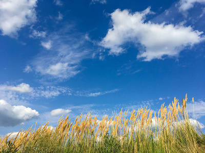 明亮的蓝天图片