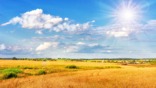 阳光明媚的日子里的金色田野景观。蓝色的天空与白色的云朵在黄色的草地上