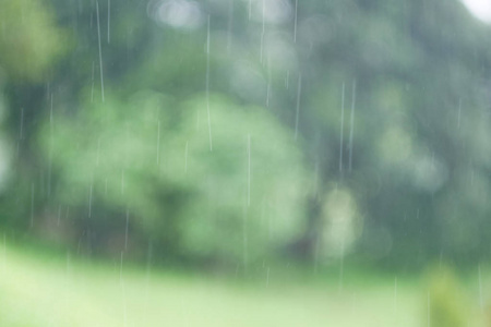 不断在森林雨季的大雨滴