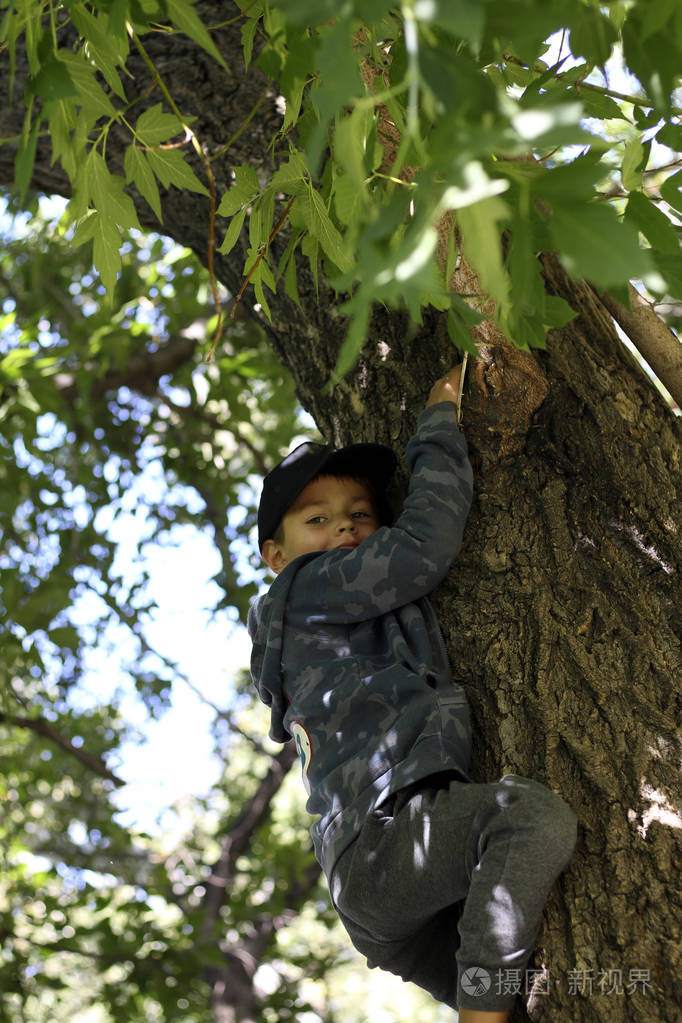 在树上的孩子