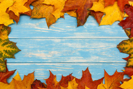 秋天的枫叶上蓝色的木制背景