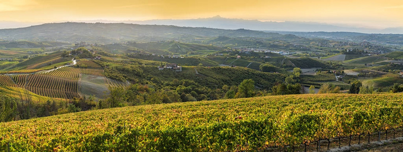 广阔的 Langhe 区域在意大利北部，在秋天，资源