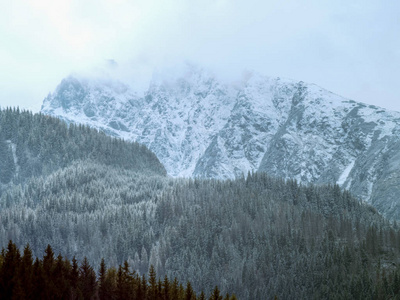 冬山。树木在上峰的山雪和云的霜