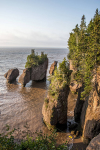 日出著名的 Hopewell 岩石 geologigal 群在低潮最大潮汐波新不伦瑞克省加拿大芬迪湾