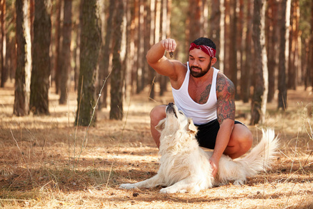 昏昏欲睡的拉布拉多犬图片