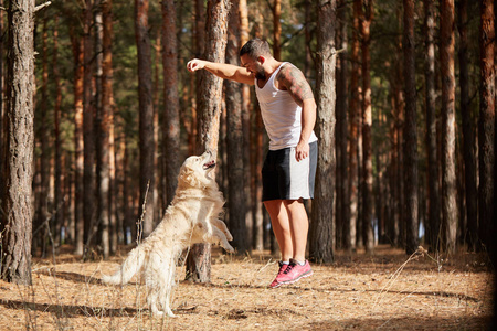 英俊的年轻男子与一只拉布拉多犬在户外在森林里
