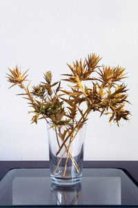 一束多刺的格鲁吉亚植物是在桌子上