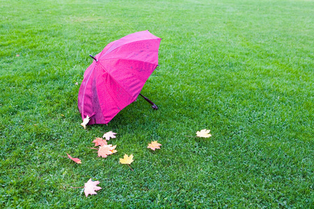 湿漉漉的雨伞和落叶躺在草地上