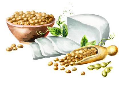 豆腐豆腐烹饪和大豆种子领域的成熟大豆对天空的大豆奶酪豆腐豆制品