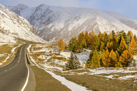 山区道路雪秋天的树木