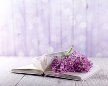 淡紫色的花，在打开的书，在明亮的背景上