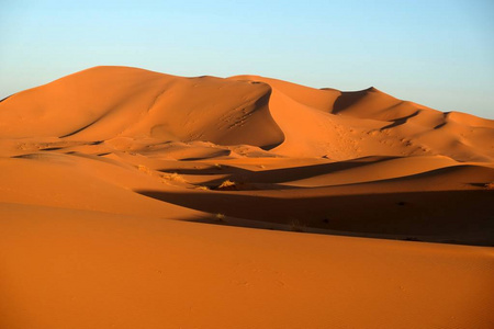 在撒哈拉大沙漠的沙丘