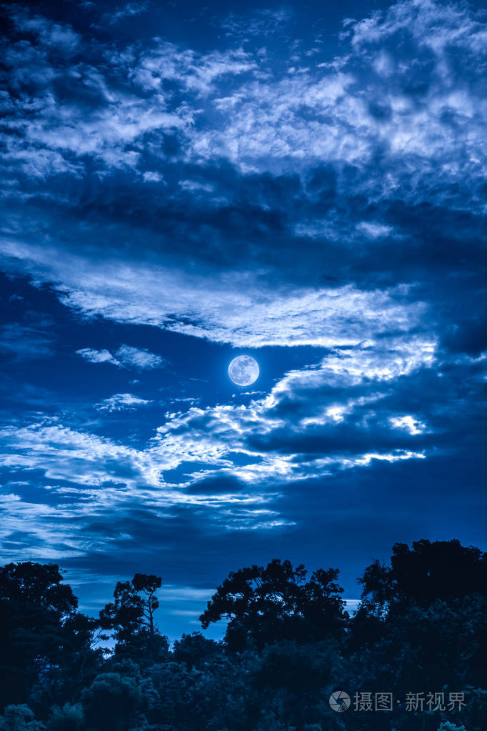 天空云与月亮上方的树的剪影.宁静自然背景