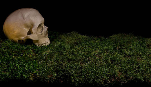 万圣节在黑暗森林绿色苔藓上可怕的人类头骨