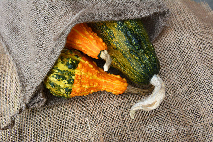 粗麻布袋中的三个绿色和橙色的疣式观赏葫芦