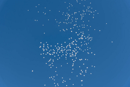 白色气球放飞了蓝色的天空