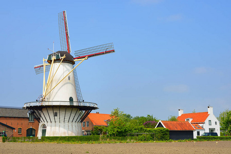 古典荷兰风景与风车在领域图片