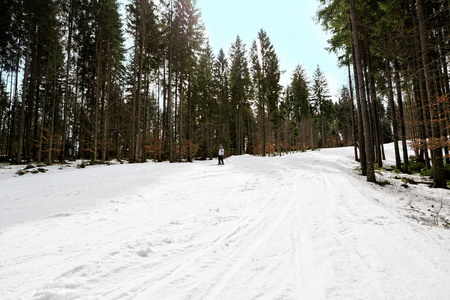 滑雪者滑下斜坡在树林里图片