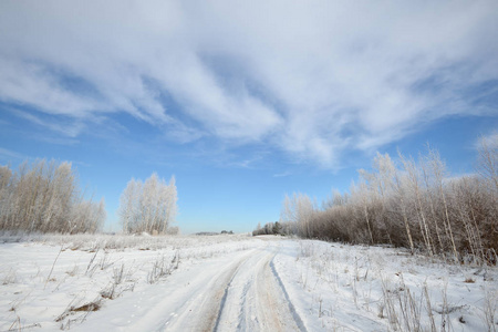 通过 snowcovered 俄罗斯农村冬季道路