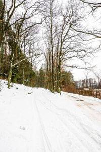 森林中乡村道路上的冬季景观