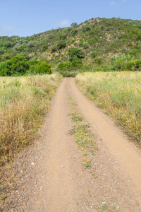 路在阿耶祖尔与山和植被