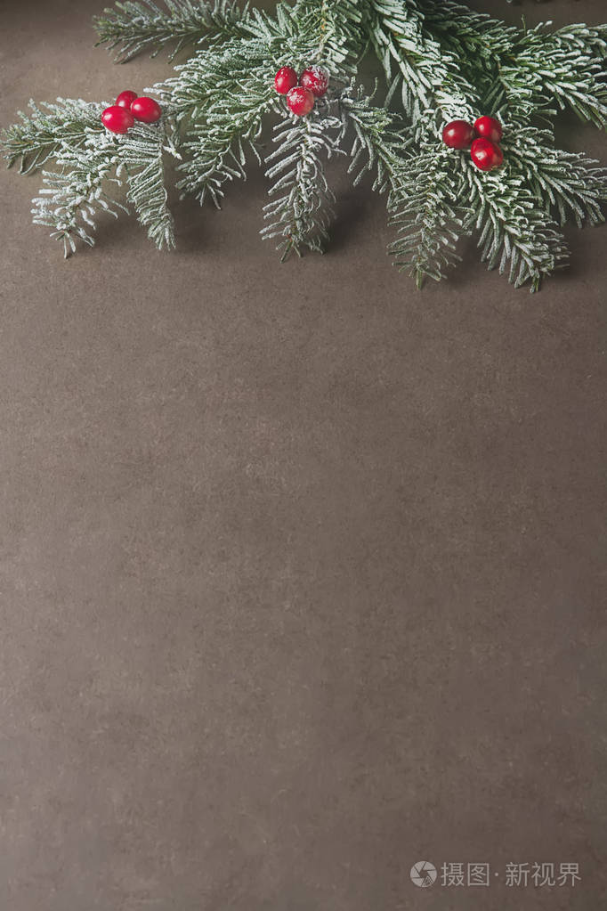圣诞节树分支小红莓。深灰色石材背景