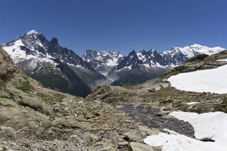 在 6 月的阿尔卑斯山。Mont blanc 的视图