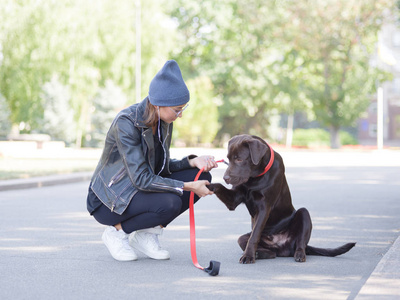学校的情妇牵着一条狗的爪子给他的情妇照片
