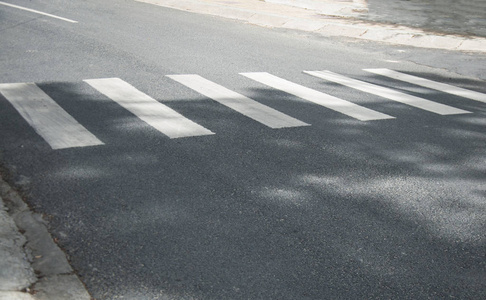 人行横道。在路上做标记。狭窄道路上一棵树上的影子