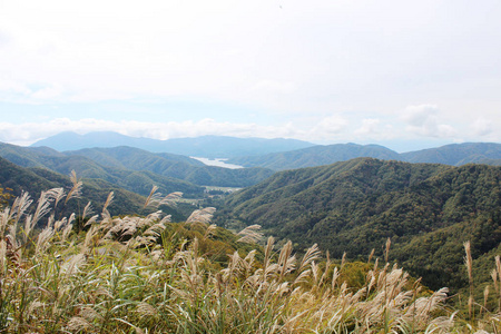 后班代山景观背景