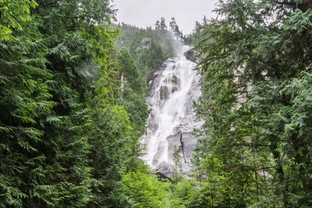 bc, squamish 附近的 shannon falls, 四周环绕着树木