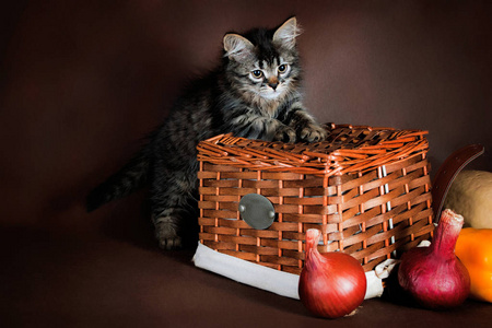 丰收的秋天的蔬菜和水果在篮子里作为装饰照片