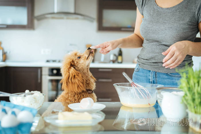 年轻女子和她的狗在厨房做饭