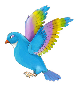 鸟艺术动漫图片