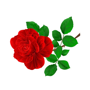 朵红玫瑰与叶复古白色背景矢量图上可编辑