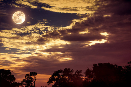 天空云与月亮上方的树的剪影。宁静自然背景