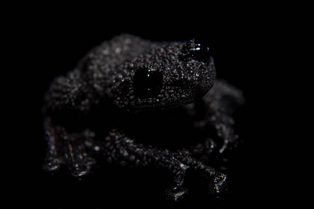 青蛙副本空间图片