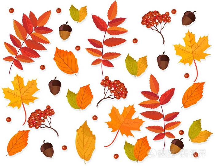 秋天的树叶图案矢量背景