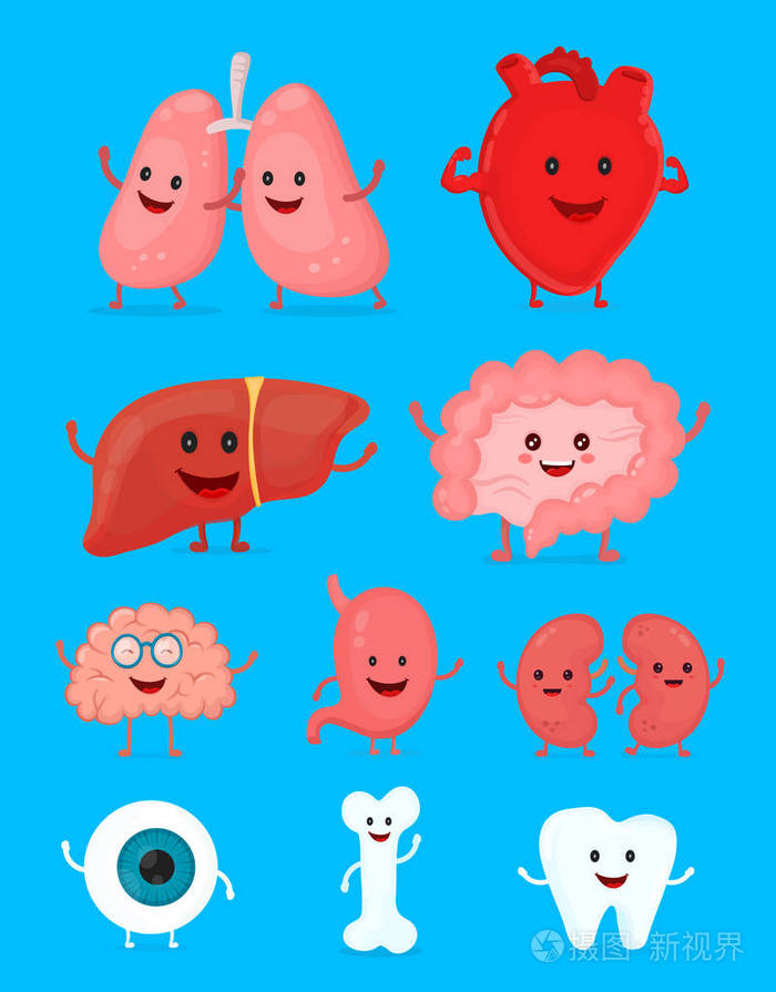 可爱微笑快乐人体健康强壮器官集插画-正版商用图片0zfxqv-摄图新视界