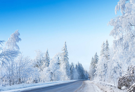 俄罗斯冬季森林道路雪冰中