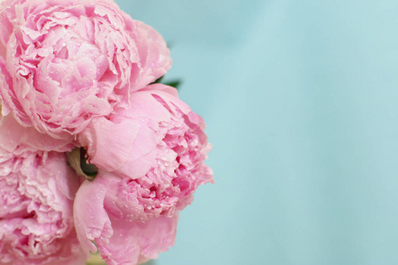 盛开的牡丹花束的嫩粉色的花朵图片