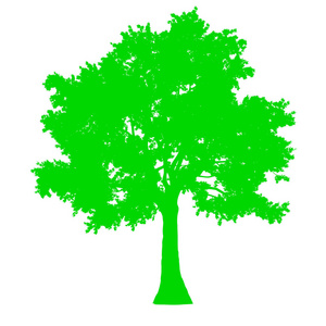 树边视图轮廓孤立绿色矢量