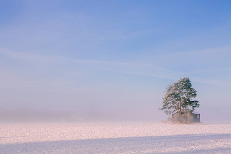 今天上午的冬季景观。雪树和在球场上的霜雾