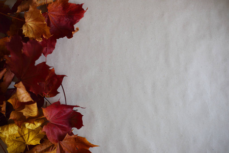 秋天的树叶框架上论文的背景图片