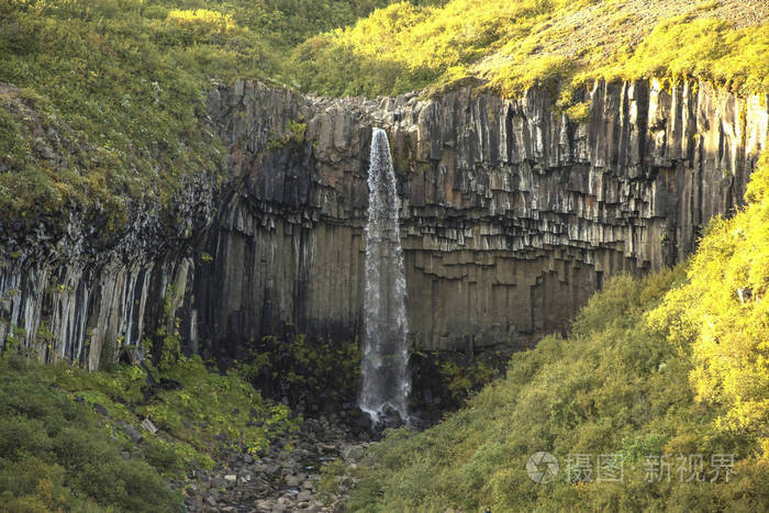 环绕的玄武岩柱在冰岛南部的 Svartifoss 瀑布