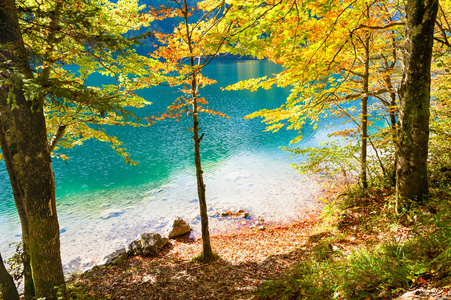 山下湖的东岸黄色秋天的树木
