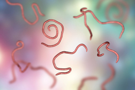 蛲虫病图片