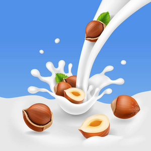 榛子和流奶.酸奶飞溅和坚果酸奶现实脂肪牛奶或酸奶飞溅与水滴分离.