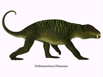 Doliosauriscus 恐龙侧剖面